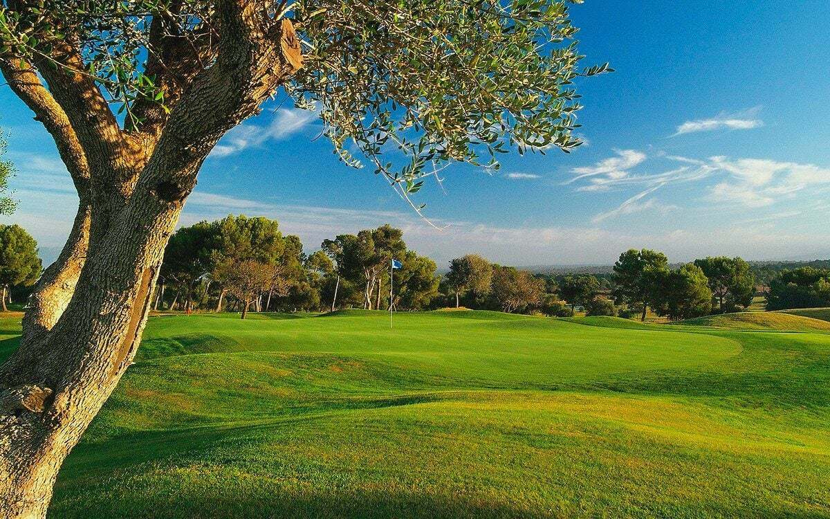 Golf Maioris