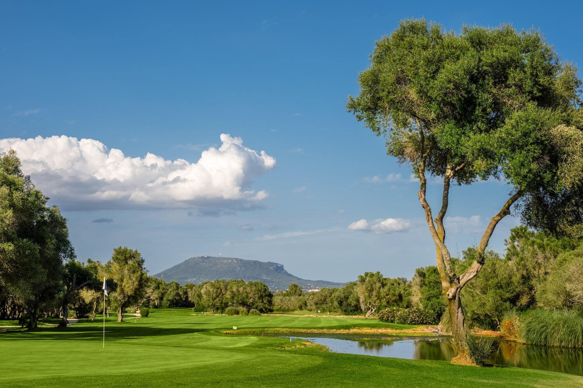 Golf Son Antem East