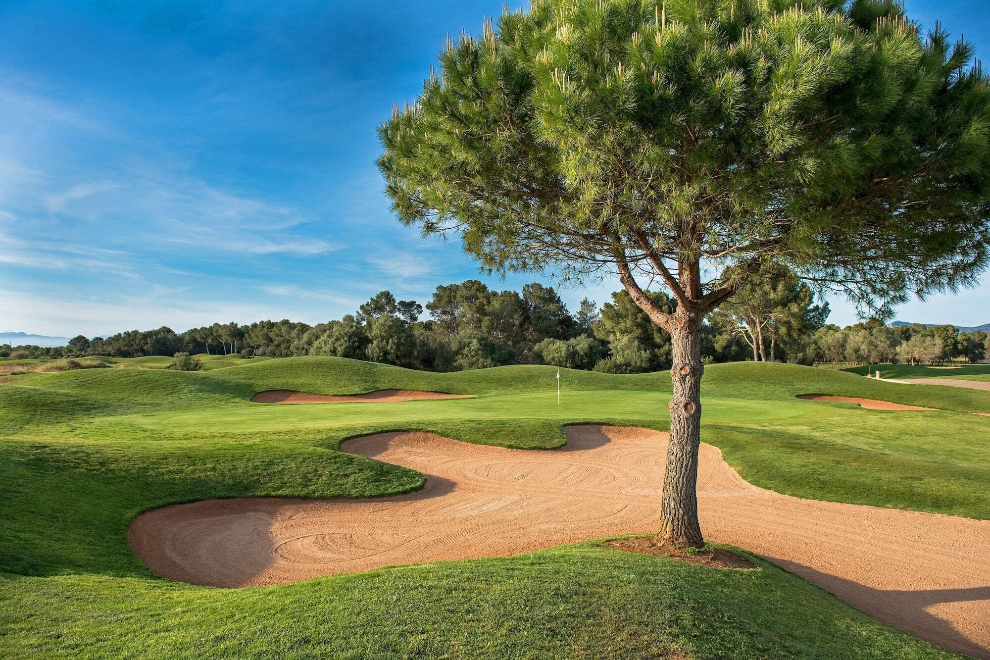 Golf Son Antem West