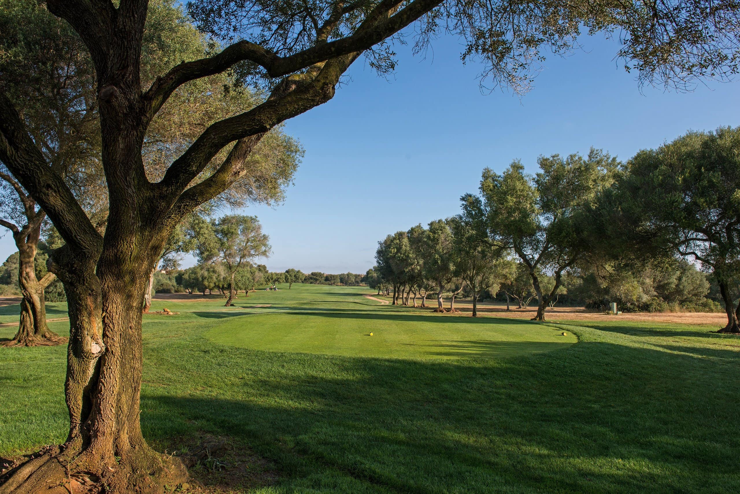 Golf Son Antem West