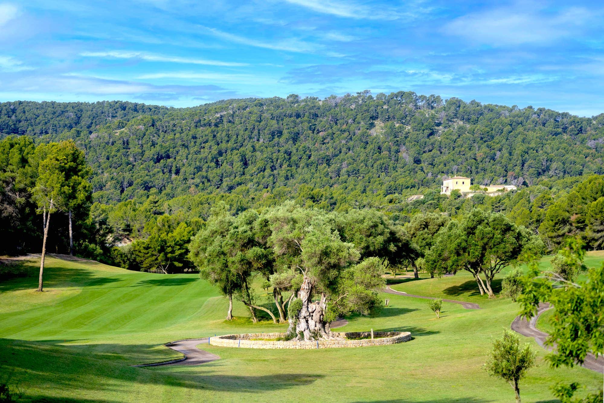 Golf Son Muntaner