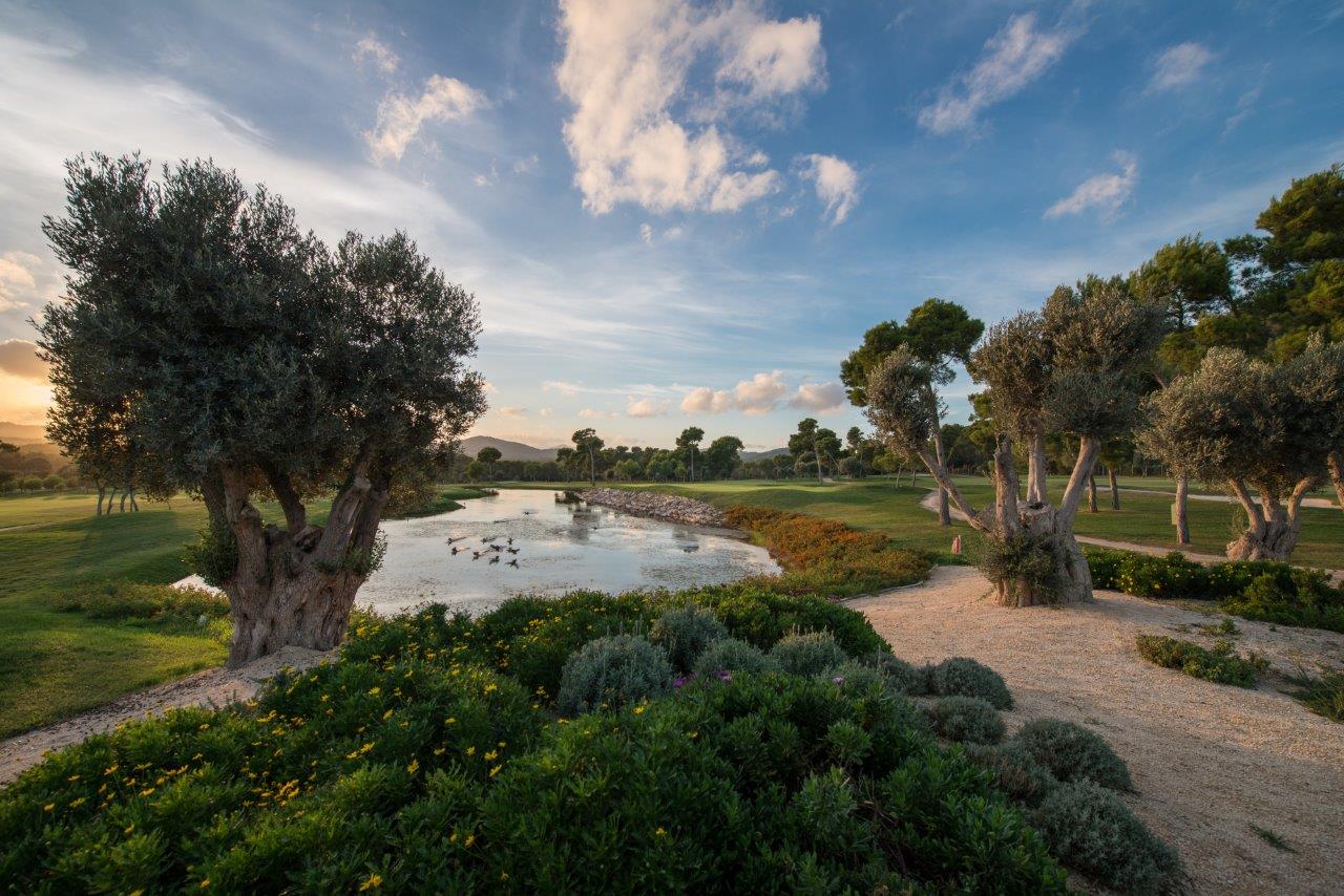 Club de Golf Son Servera