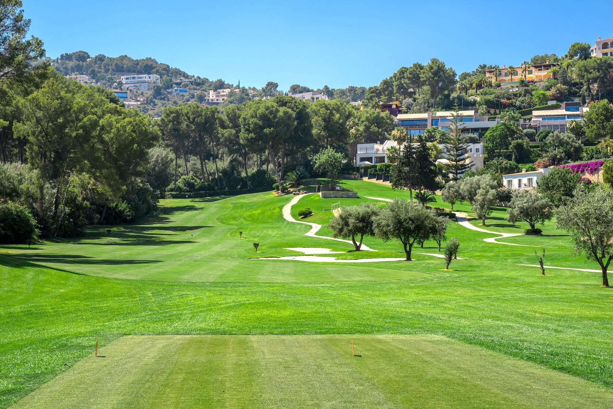 Golf Son Vida
