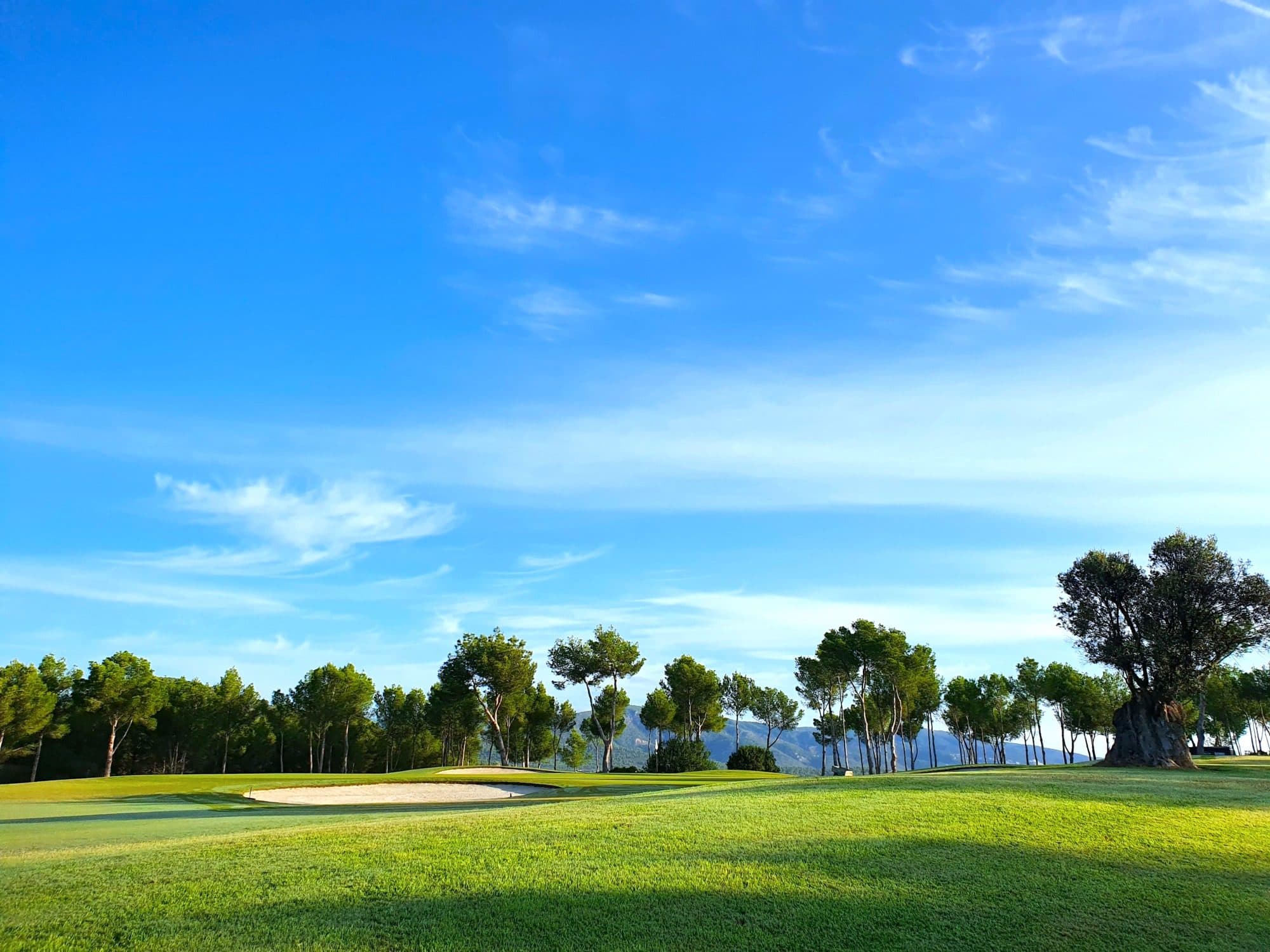 T Golf Palma